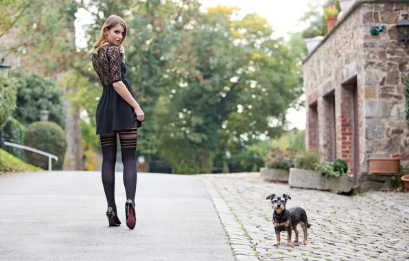 Картинка девушка, город, улица, ножки, собачка, Guenter Stoehr