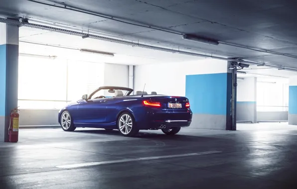 Картинка BMW, German, Car, Blue, Cabriolet, Garage, Rear, 220D