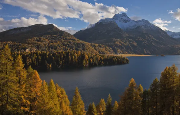 Картинка осень, лес, деревья, горы, озеро, Швейцария, Альпы, Switzerland, Alps, Lake Sils, Sils im Engadin, озеро …