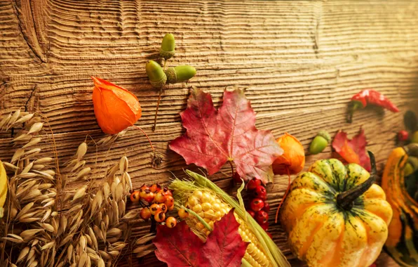 Картинка осень, листья, ягоды, дерево, кукуруза, урожай, тыква, желуди