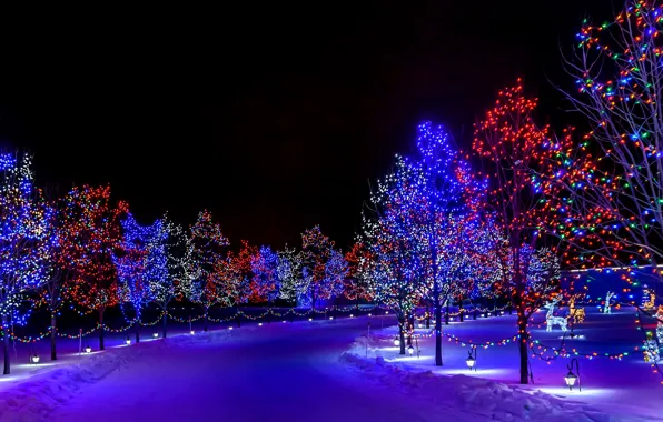 Картинка зима, снег, украшения, деревья, ночь, lights, огни, праздник, улица, рождество, Happy New Year, trees, nature, …