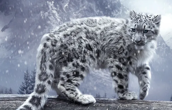 Картинка кошка, снег, горы, леопард, ирбис, бревно, барс
