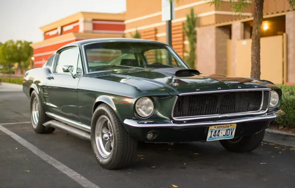 Картинка Mustang, Ford, классика, передок, Мускул кар