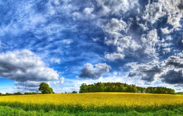 Картинка поле, небо, облака, желтый