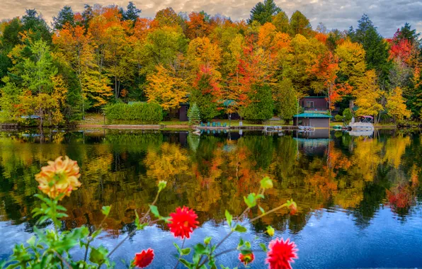 Картинка осень, деревья, цветы, озеро, парк, домик
