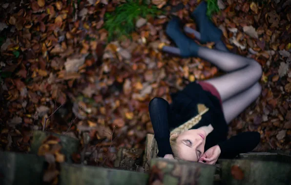 Картинка осень, листья, девушка, коса, ножки, Florian Weiler, вид сврху