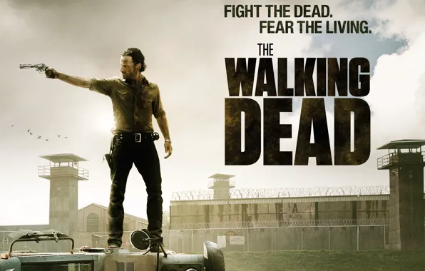Картинка оружие, мужик, weapon, man, The Walking Dead 2