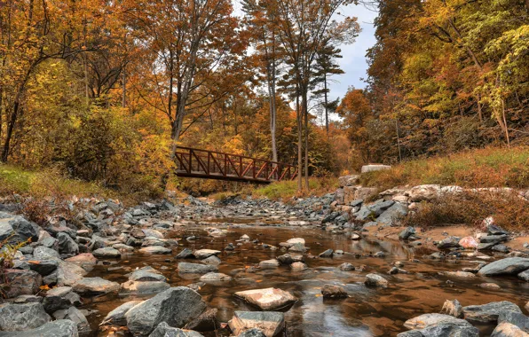 Картинка осень, лес, деревья, мост, камни, Канада, речка, Canada, Wilket Creek Park