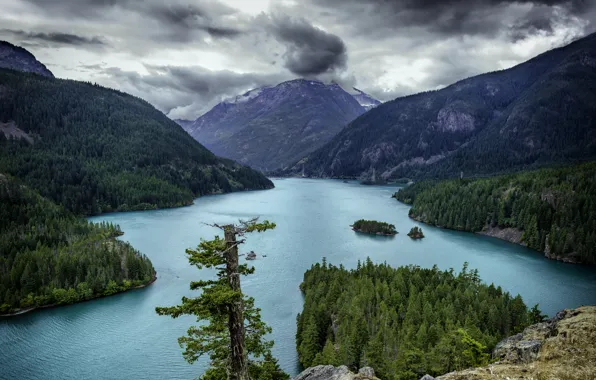 Картинка лес, облака, деревья, горы, озеро, камни, скалы, Вашингтон, США, Diablo Lake