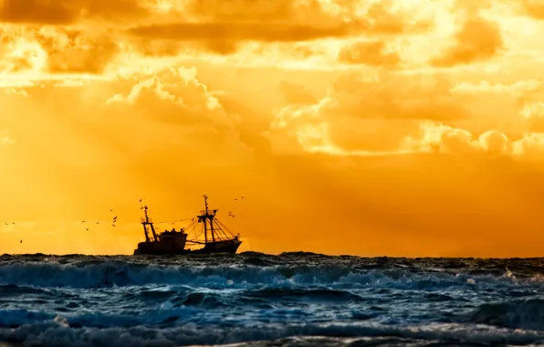 Картинка море, закат, корабль, флот, судно, красивый, фон., рыбацкое
