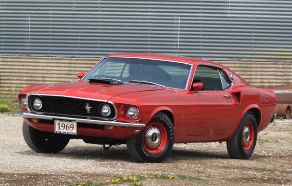 Картинка Mustang, Ford, 1969, Super, 428