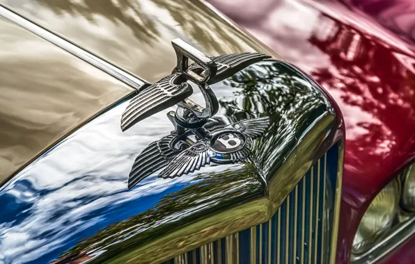 Картинка ретро, Bentley, решетка, эмблема