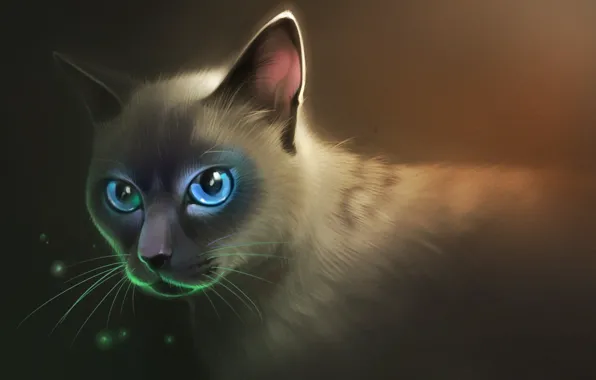 Картинка кот, взгляд, пушистый, арт, голубые глаза