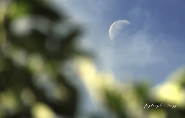 Картинка moon, sky, daylight