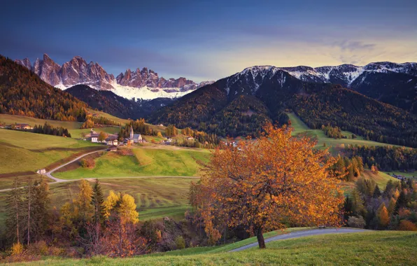 Картинка осень, снег, деревья, горы, дома, Альпы, Италия