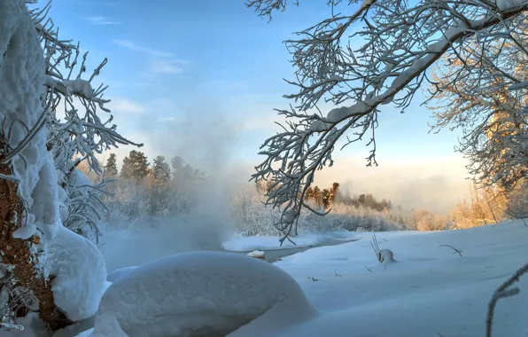 Картинка зима, снег, деревья, ветки