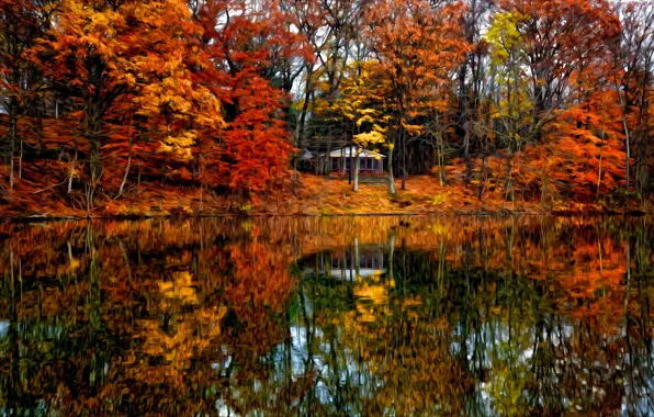Картинка осень, лес, деревья, пейзаж, вилла, дома, Природа, house, forest, архитектура, trees, landscape, nature, autumn, view, …
