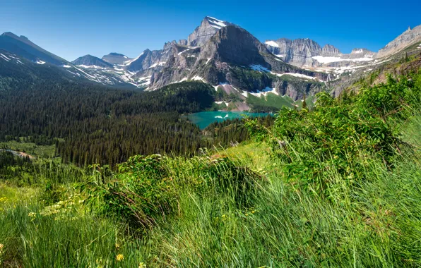 Картинка лес, трава, деревья, горы, озеро, скалы, США, вид сверху, Glacier National Park, Grinnell Lake