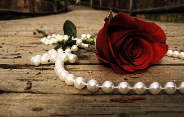 Картинка red, rose, romantic, pearls
