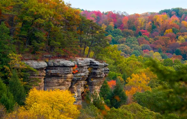 Картинка осень, лес, пейзаж, скала, обрыв, плато, багрянец