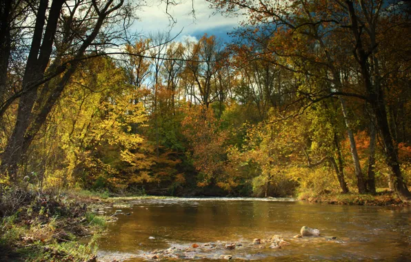 Картинка осень, лес, небо, листья, деревья, река, Природа, colorful, forest, river, sky, trees, nature, water, autumn, …