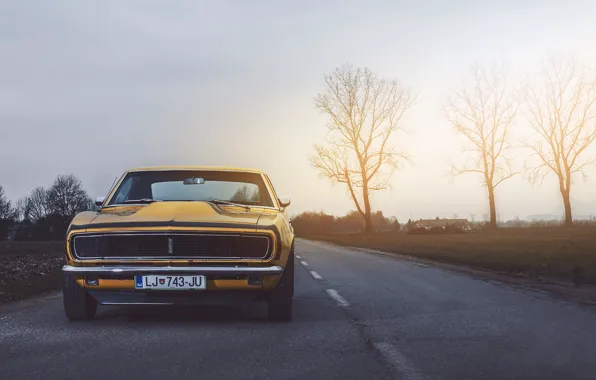 Картинка Chevrolet, Muscle, Camaro, USA, Car, Power, Front, Sun, Yellow, 1968, Oldy