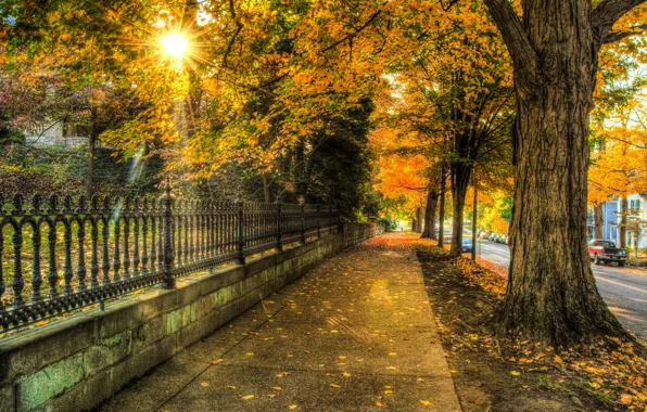 Картинка осень, листья, деревья, природа, city, город, дом, улица, house, архитектура, trees, nature, autumn, leaves, street, …