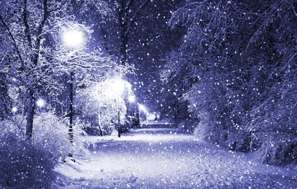 Картинка зима, снег, деревья, ночь, парк, фонари