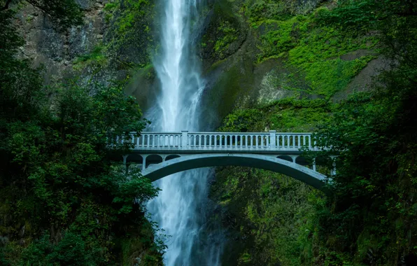 Картинка деревья, мост, скала, водопад