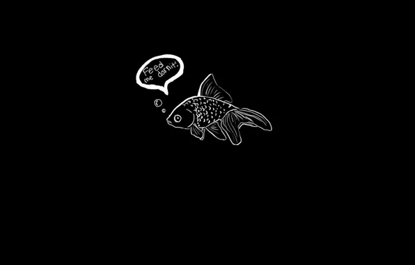 Картинка надпись, золотая рыбка, черная, goldfish