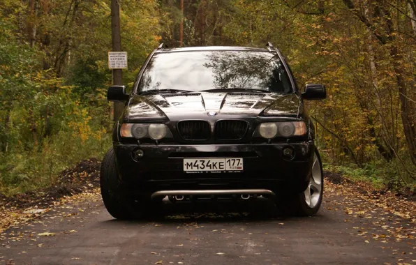 Картинка BMW, бумер 2, бэха