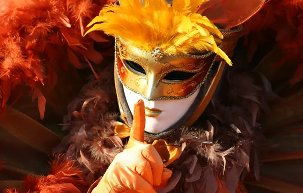 Картинка mask, costume, gloves, Carnival