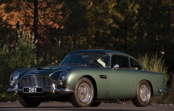 Картинка авто, Aston Martin, астон мартин, классика, DB5