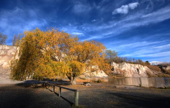 Картинка осень, небо, дерево, Новая Зеландия