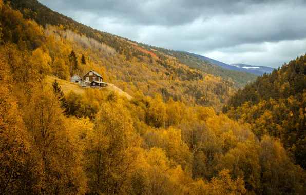Картинка осень, лес, горы, дом