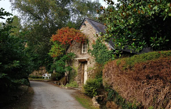 Картинка дорога, деревья, дом, Франция, Бретань