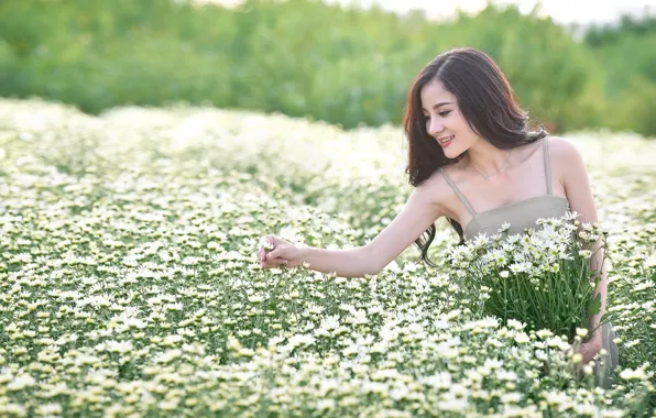 Картинка поле, девушка, цветы, улыбка