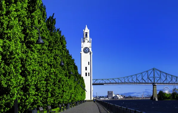 Картинка небо, деревья, мост, часы, башня, порт, Монреаль, Montreal, Old Port, Clock Tower