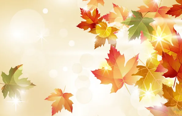 Картинка осень, листья, свет, природа