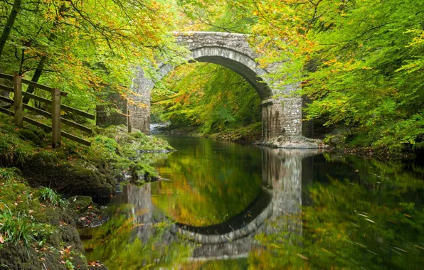 Картинка осень, лес, деревья, мост, отражение, река, Англия, арка, Devon, England, Девон, Дартмур, River Dart, Dartmoor, …