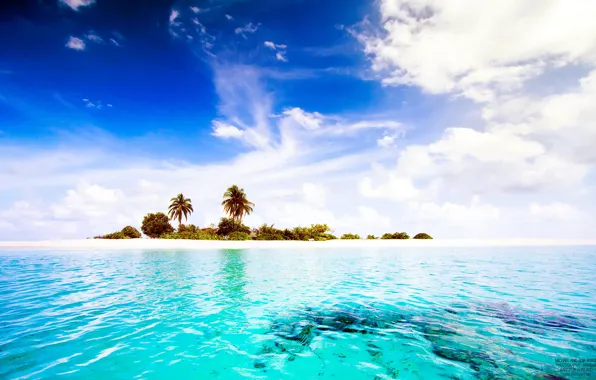 Картинка тропики, пальмы, океан, остров, Мальдивы, Maldives, paradise