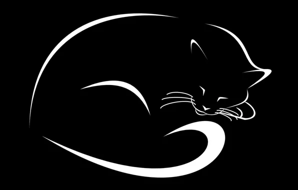 Картинка кошка, рисунок, черный фон