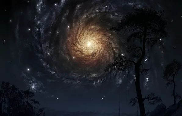 Картинка sky, tree, cosmos