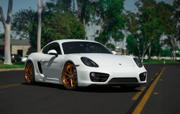 Картинка Porsche, Cayman, Wheels, BLK