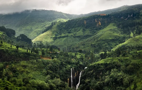 Картинка зелень, пейзаж, тропики, Шри-Ланка