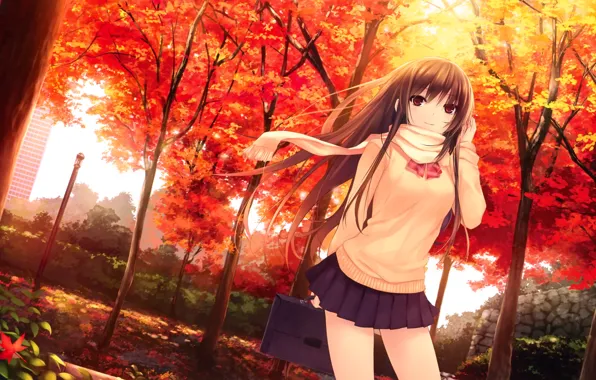 Картинка осень, листья, девушка, деревья, юбка, шарф, длинные волосы, свитер, coffee-kizoku
