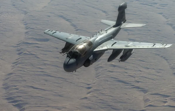 Картинка самолёт, Prowler, палубный, EA-6B