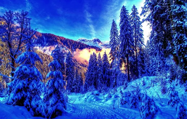 Картинка зима, лес, пейзаж, горы