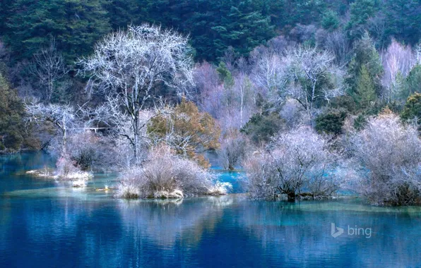 Картинка зима, иней, лес, вода, деревья, пейзаж, река, обои, склон, залив