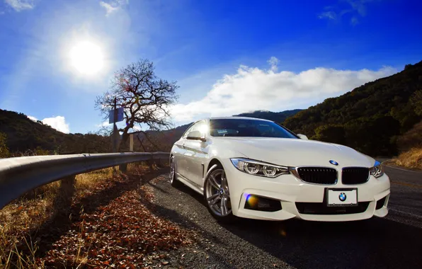 Картинка BMW, white, front, 428i